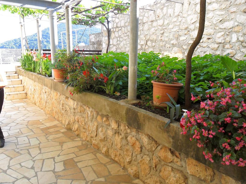 Apartma Niko